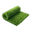 grass png removebg preview
